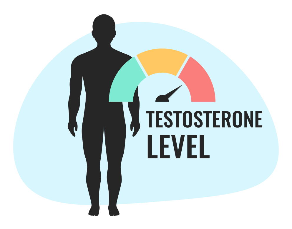 testosterone increase
